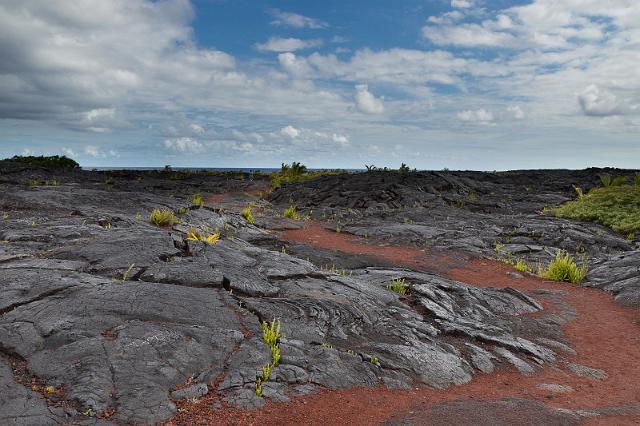 037 Big Island, Hilo, Kaimu Black Sand Beach.jpg